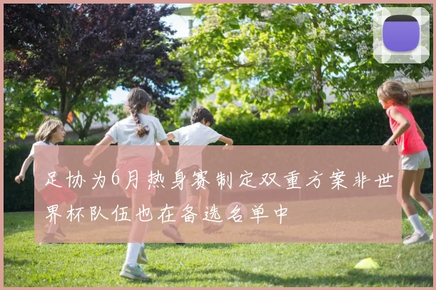 足协为6月热身赛制定双重方案非世界杯队伍也在备选名单中