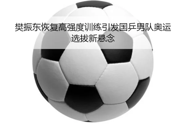 樊振东恢复高强度训练引发国乒男队奥运选拔新悬念
